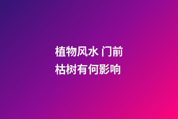 植物风水 门前枯树有何影响